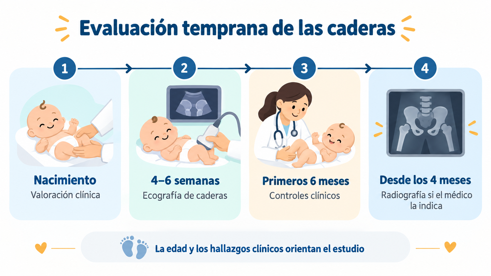 Línea temporal de evaluación de la cadera desde el nacimiento hasta después de los cuatro meses